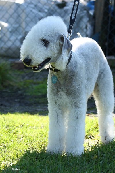 2010-10-03 Coursing-Training GE (4).jpg